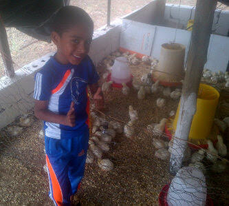 Quizás seré Veterinario