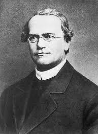 Gregor Mendel's Discovery