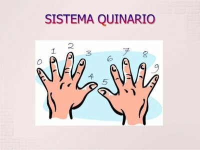Sistema Quinario