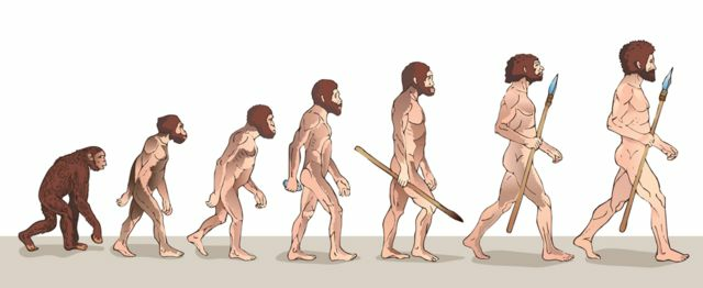 evolución del hombre segun Charles