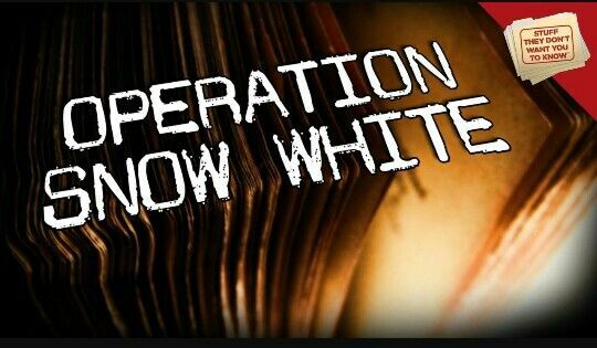 Operation Snow White
