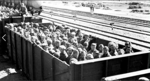 The Great Purge and gulags