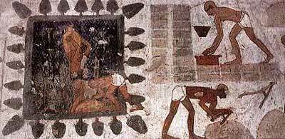 Aplicaciones de los Egipcios