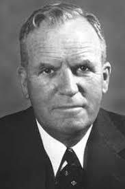 Resinas de poliester.