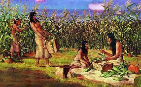 Cazadores y horticultores