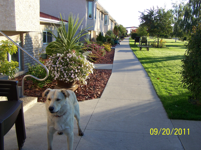 We moved to riverbend