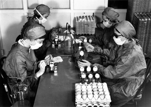 Strive for Vaccination