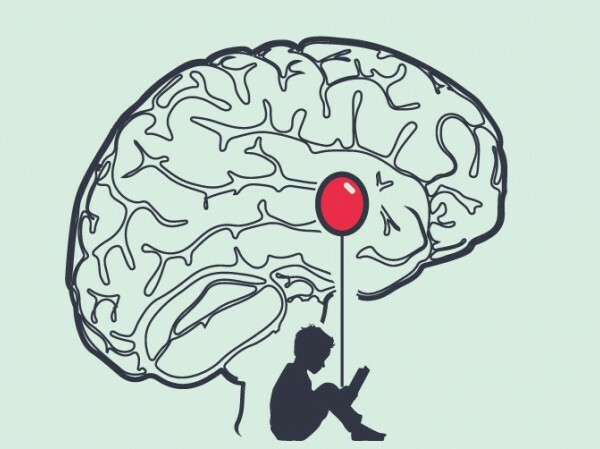 Estructura principal del sistema límbico (Amígdala)