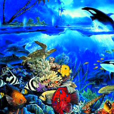 Timeline: ✬Cianie Ocean Exploration ✬