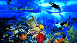 Timeline: ✬Cianie Ocean Exploration ✬