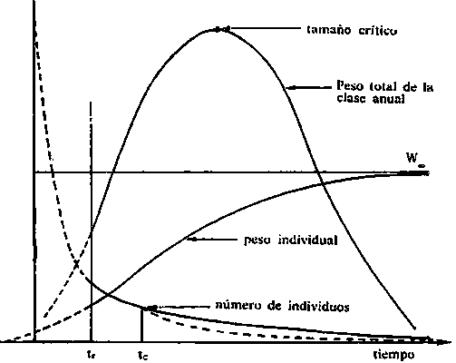 Estadística Matemática