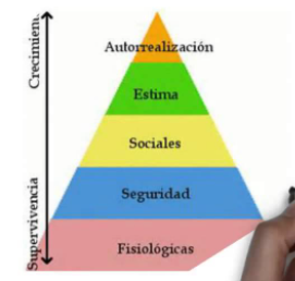 Teoría del comportamiento