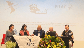 Renovar el mandato del relator especial 2004