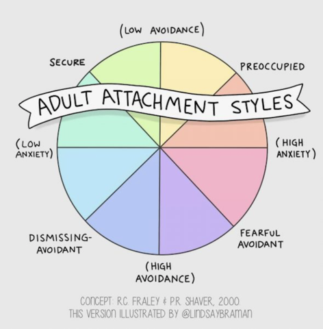 4.3 Adult Attachment Style
