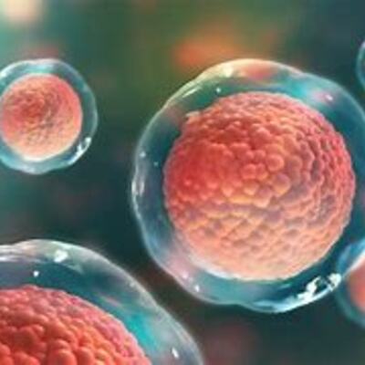 Timeline: History of Cell Theory Timeline