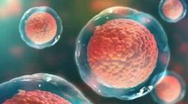 Timeline: History of Cell Theory Timeline