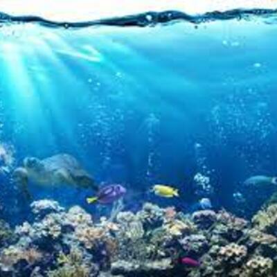 Timeline: Ocean timeline