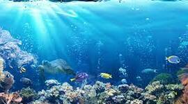 Timeline: Ocean timeline