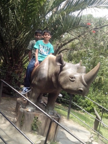 Visité el zoológico de Chapultepec