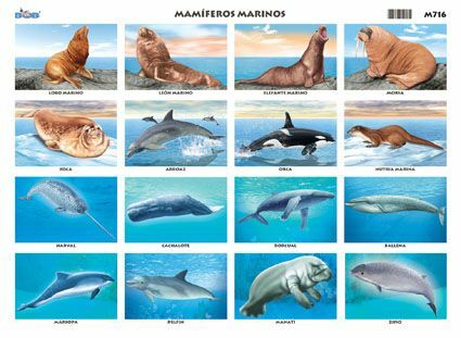 Mayor uso de peces y mamíferos marinos