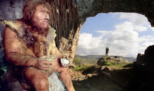Primer Homo Sapiens