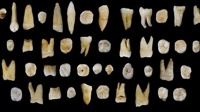 Homo Sapiens en China