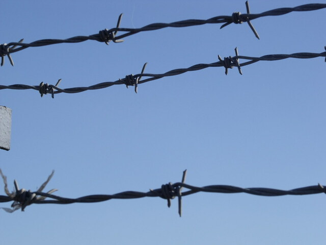 Barbed wire