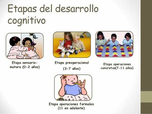Concepto de las etapas del desarrollo de Piaget.