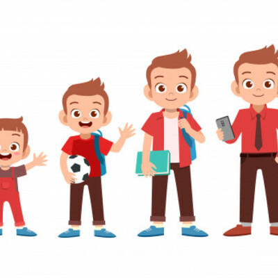 Timeline: Etapas cronológicas