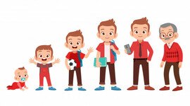 Timeline: Etapas cronológicas