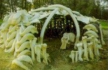 Sitios complejos de cazadores-recolectores