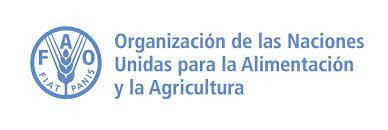 Creación de la Organización para la Alimentación y Agricultura