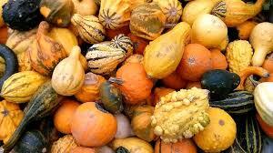 Calabaza domesticada en Mesoamérica