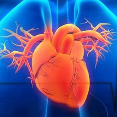 Timeline: Evolución de las tecnologías no invasivas.