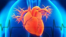 Timeline: Evolución de las tecnologías no invasivas.