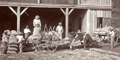 Exportación del Café