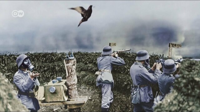 Primera Guerra Mundial