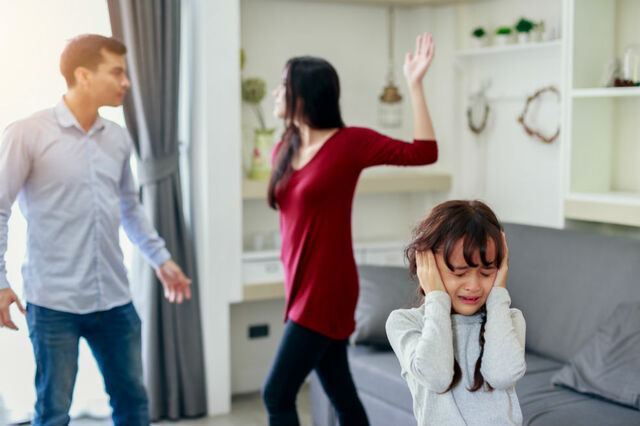 LEY 575 DE 2000 Ley de Violencia Intrafamiliar