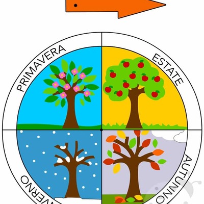 Timeline: le stagioni