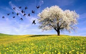 il primo giorno di primavera