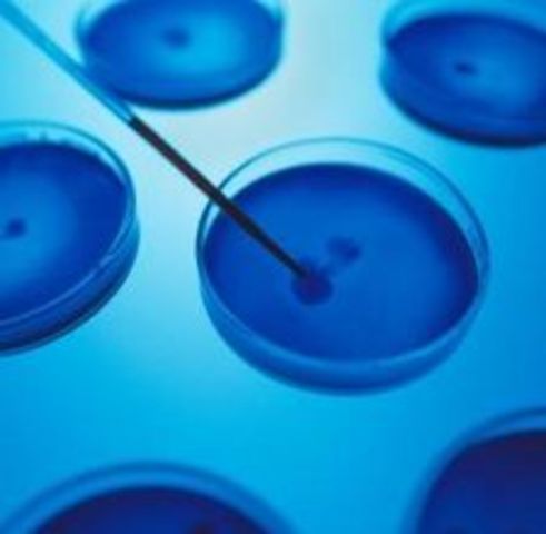 1st recombinant organism