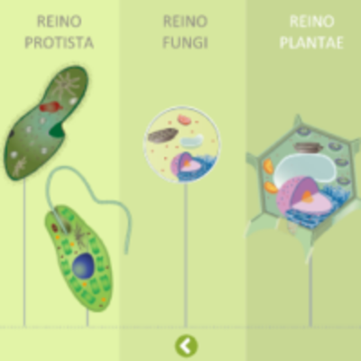 Timeline: Taller 20/03/2021