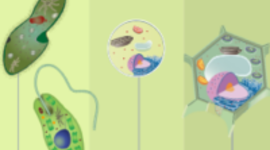 Timeline: Taller 20/03/2021