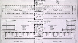 Timeline: How Antibiotics Changed Tuberculosis Treatments Over Time