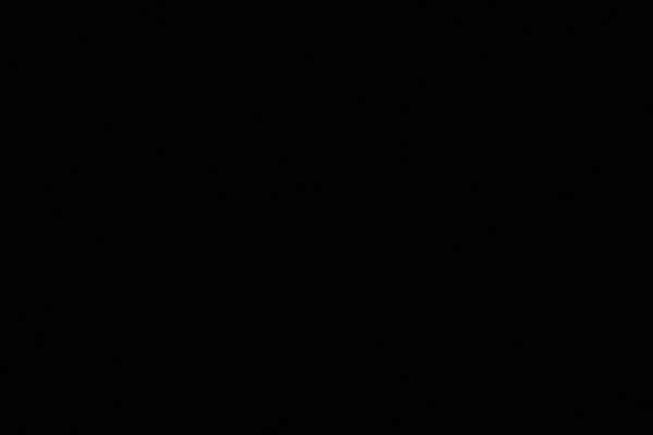 Elezione a sindaco di Palermo di Vito Ciancimino