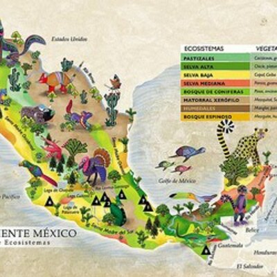 Timeline: CAMBIOS EN LOS ECOSISTEMAS