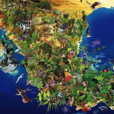 Timeline: Animales  en Peligro de Extinción