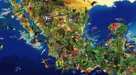 Timeline: Animales  en Peligro de Extinción