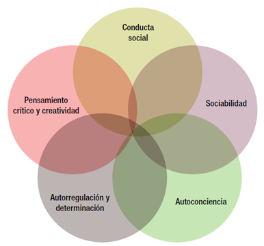 Importancia de las habilidades socioemocionales