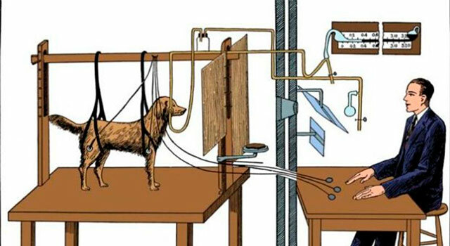 Condicionamiento Clásico